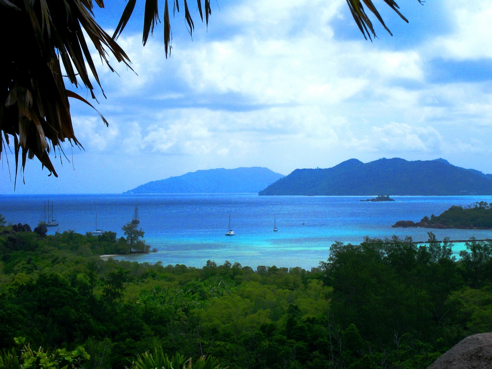 Laraie Bay, Curieuse