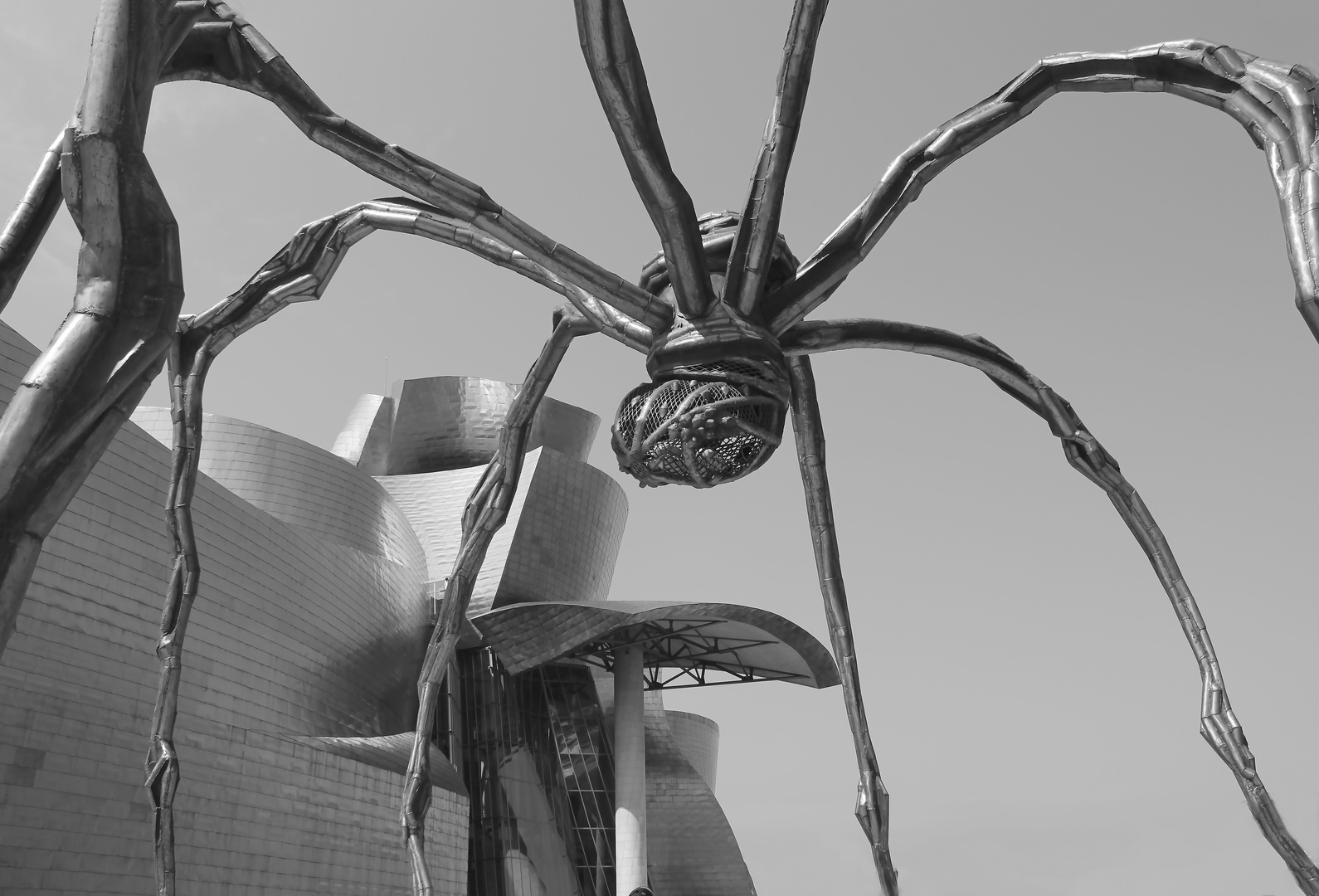 l'araigné du musée Guggenheim de bilbao