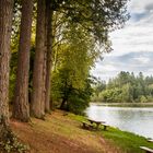 l'arboretum de Pezanin en Saône et Loire