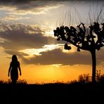 L'arbre à chaussures