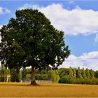 l'arbre