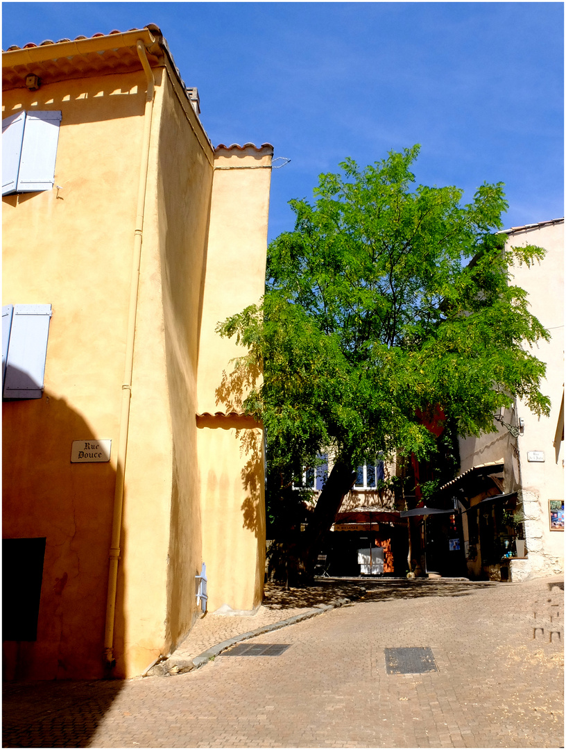 L'arbre au village.