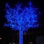 L'ARBRE BLEU DE STRASBOURG