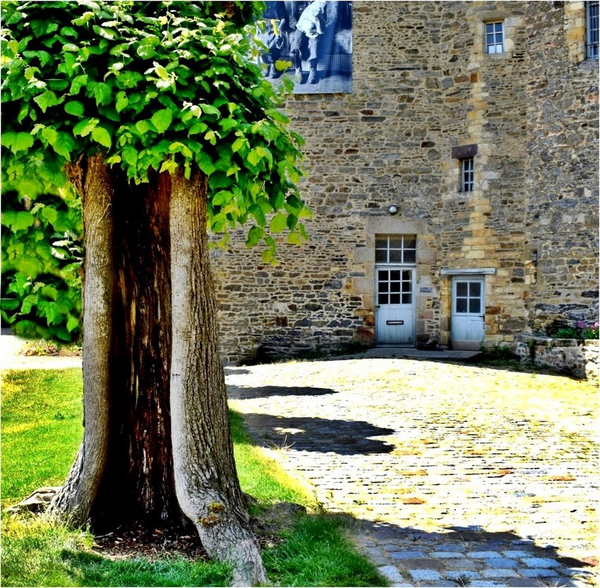 l'arbre creux