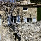 L'arbre dans la maison