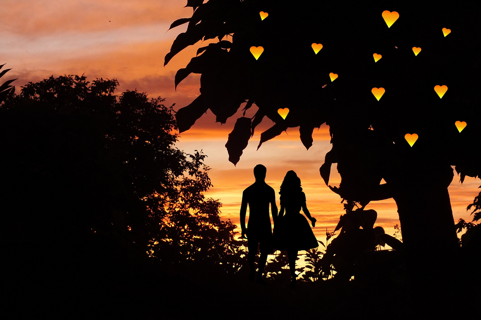 L'arbre de l'amour