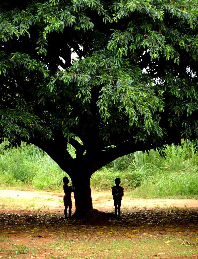 L'Arbre de l'Enfance