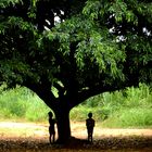 L'Arbre de l'Enfance