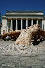 L'arbre déraciné