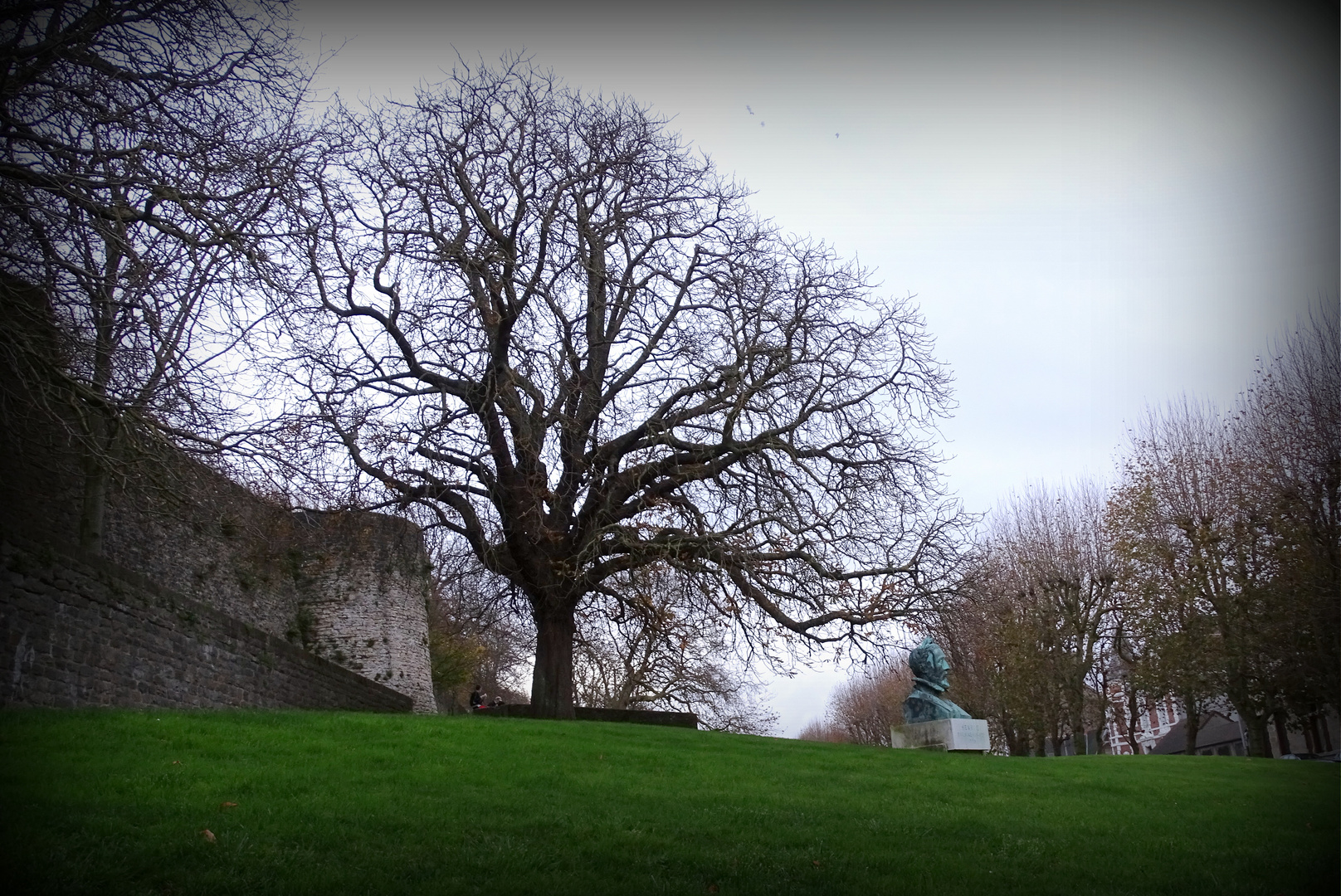 L'arbre d'Henri II