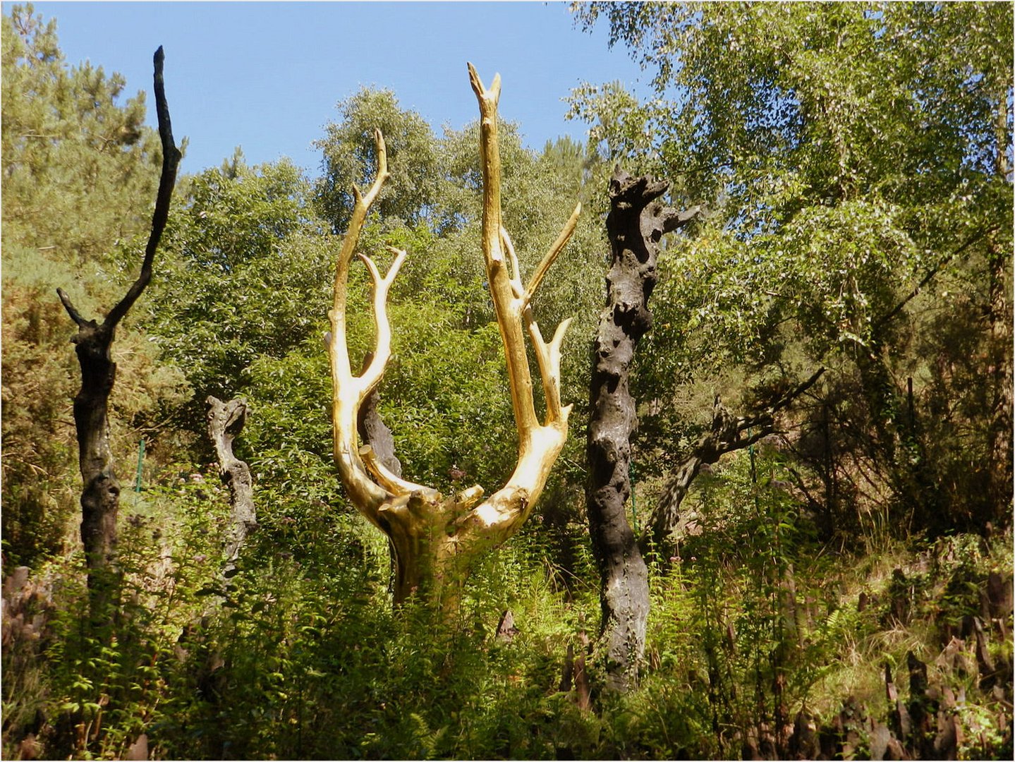 l'arbre d'or