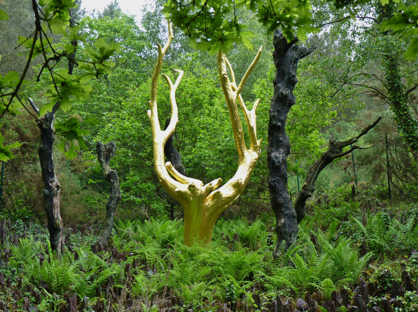 L'arbre d'or, forêt de Brocéliande (Morbihan)