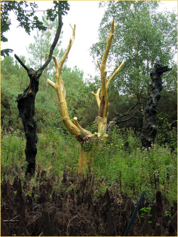 l'Arbre d'Or in Fôret de Brocéliande, der Legendenwald