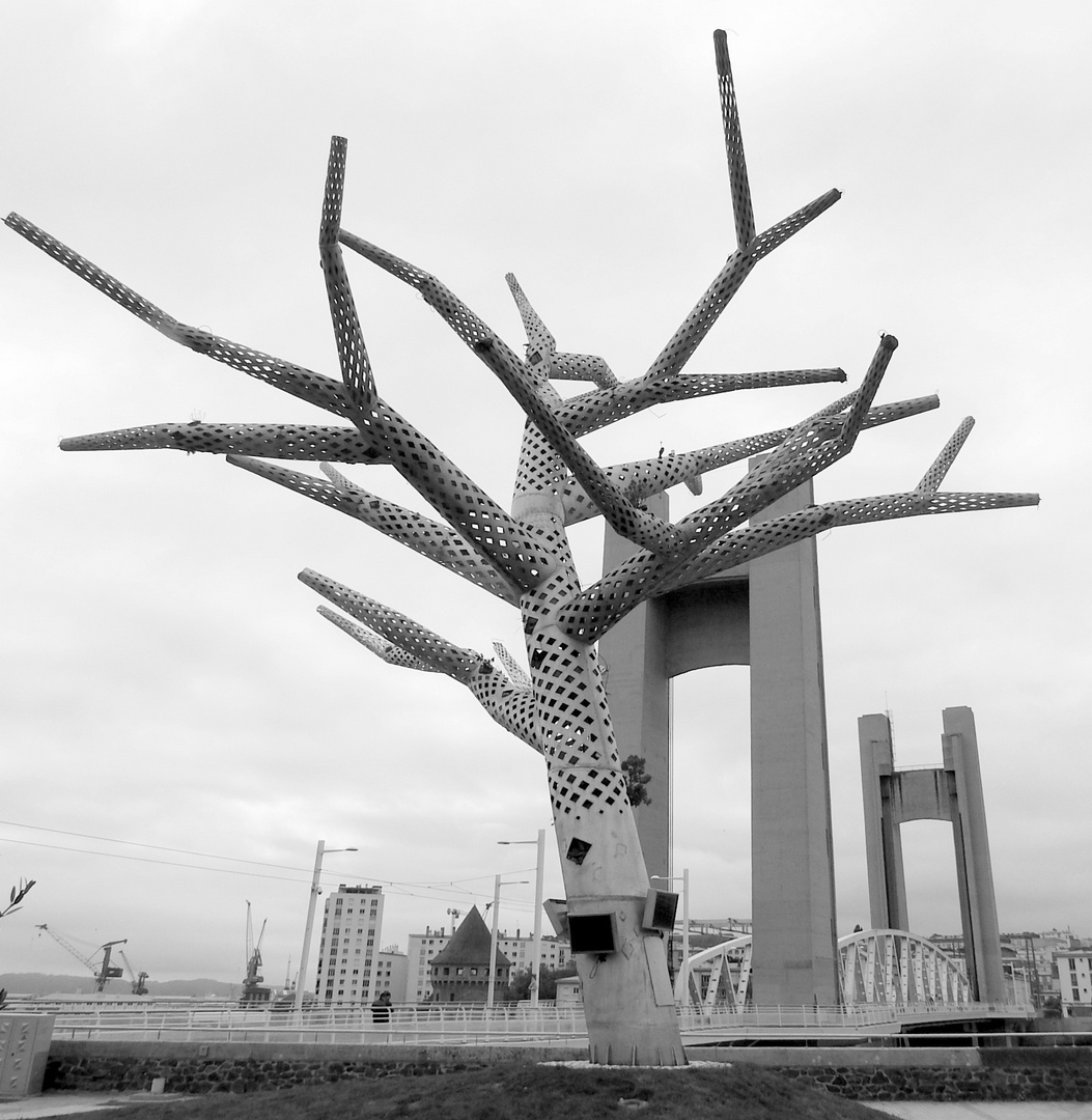 l'arbre empathique, Brest