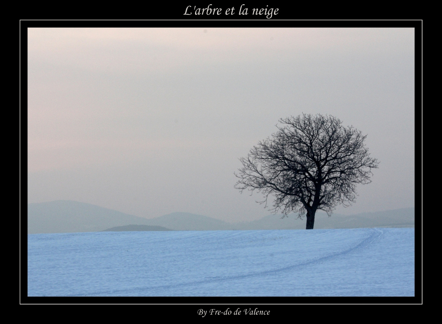 L'arbre et la neige