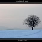 L'arbre et la neige