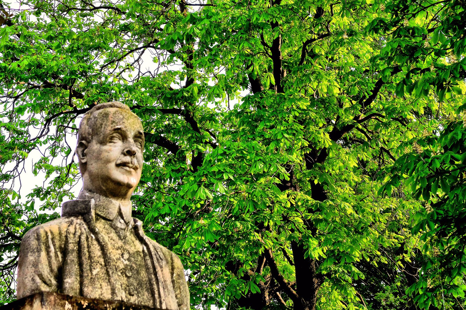 L'arbre et la statue