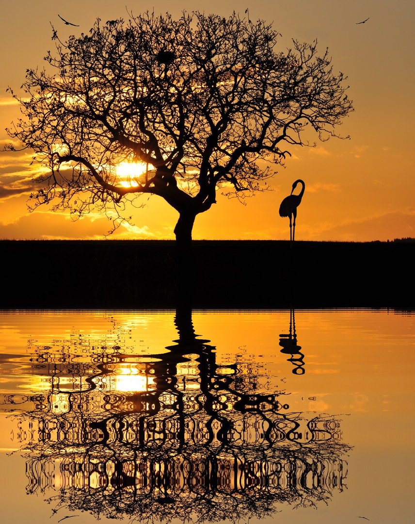 L'arbre et le héron