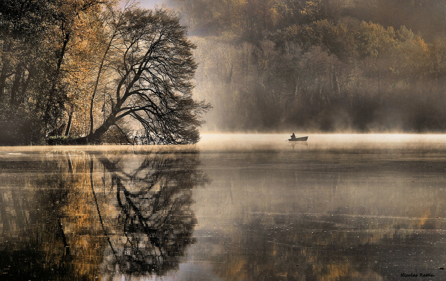 L'arbre et le pêcheur