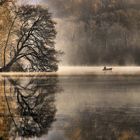 L'arbre et le pêcheur