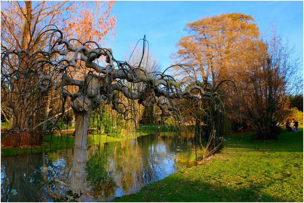 L'arbre fantastique