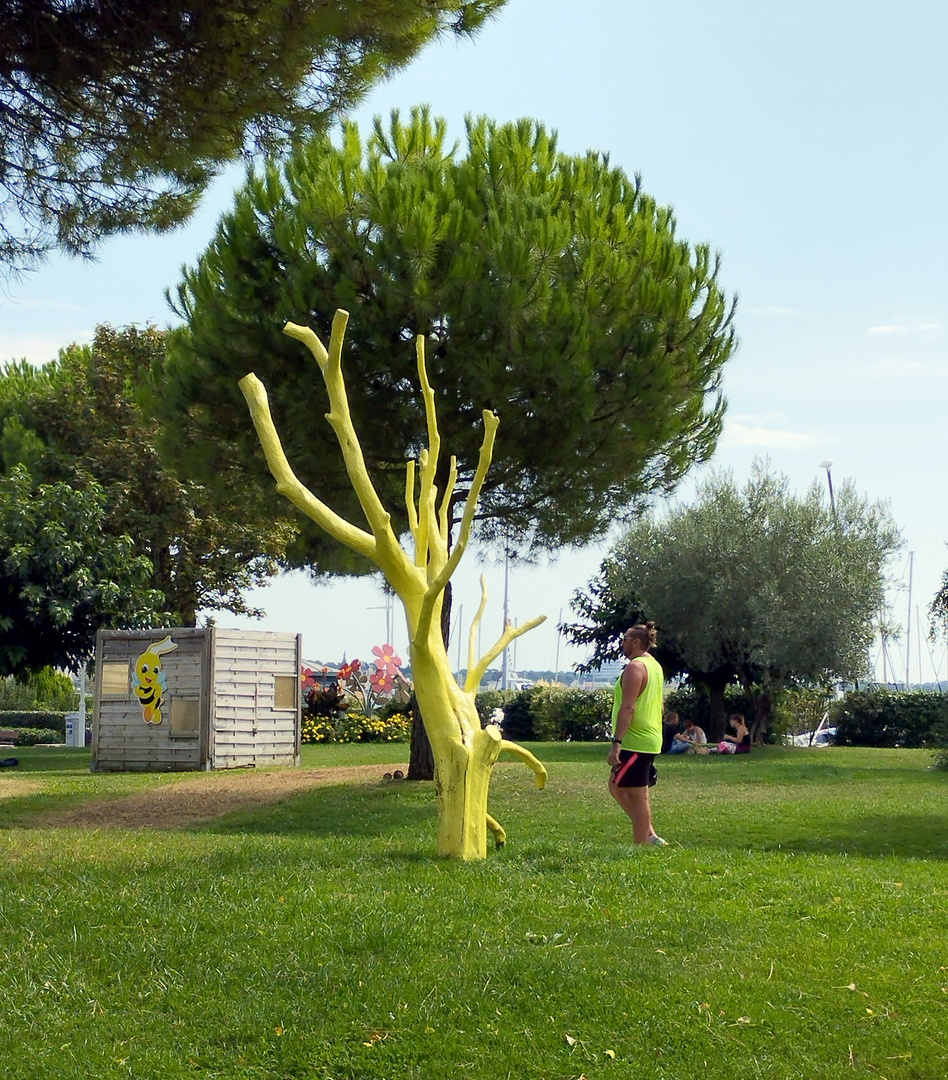 L'arbre jaune !