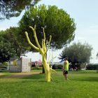 L'arbre jaune !