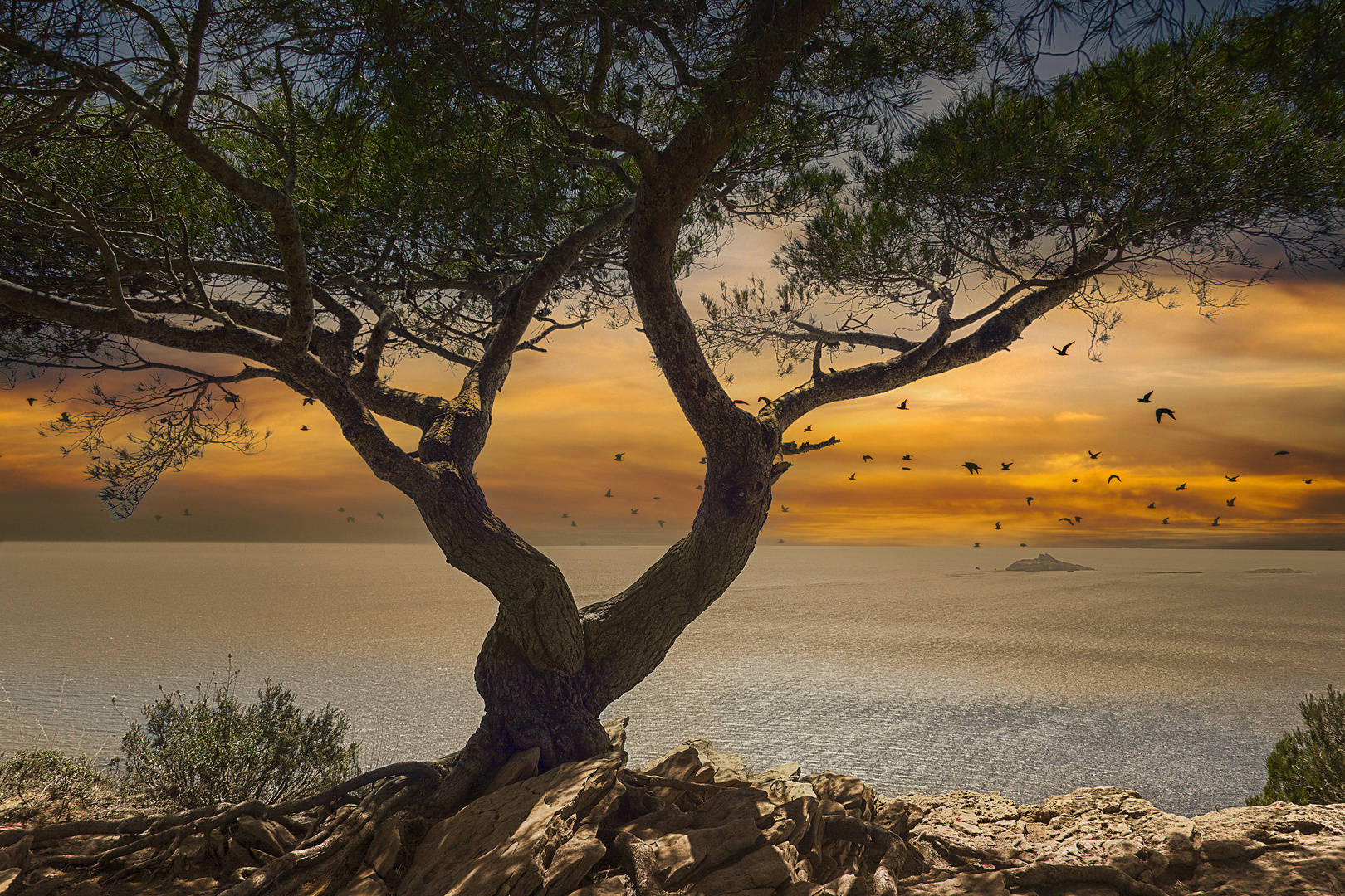 L'arbre seul