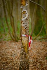 L'arbre signalitique