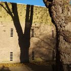 L’arbre, son ombre et le mur… --  Der Baum, sein Schatten und die Mauer…