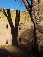 L’arbre, son ombre et le mur… --  Der Baum, sein Schatten und die Mauer…