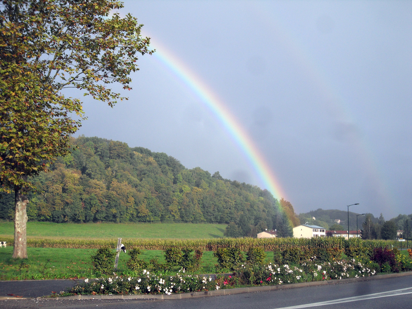 l'arc en ciel