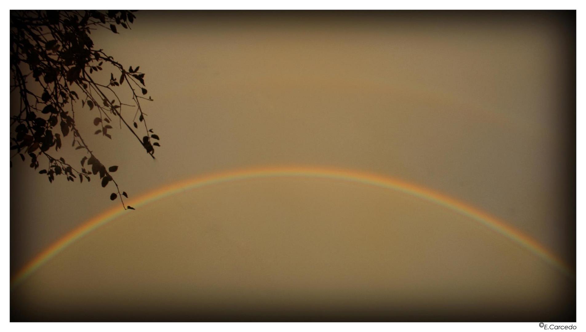 l'arc en ciel