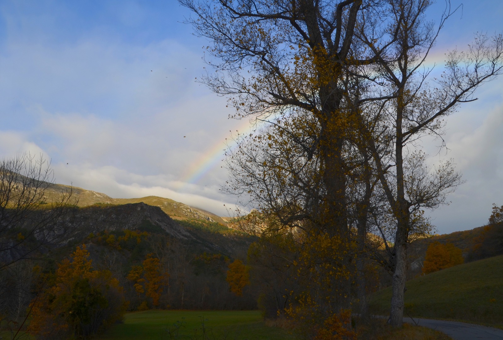 * l'arc en ciel après la grippe *;-))))) 