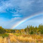 L'arc en ciel au bout du chemin