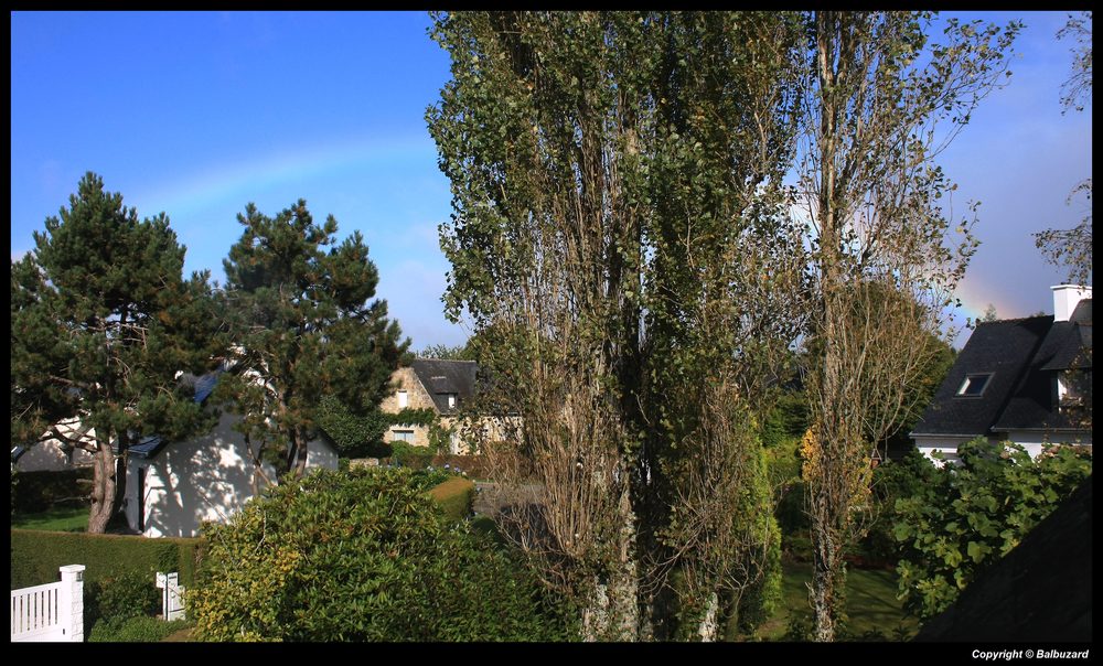 " L'arc en ciel, dans un ciel bleu au dessus de mon quartier "