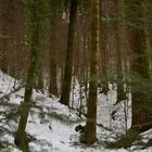 L'Archiforo con la neve (Monti delle Serre, Calabria)