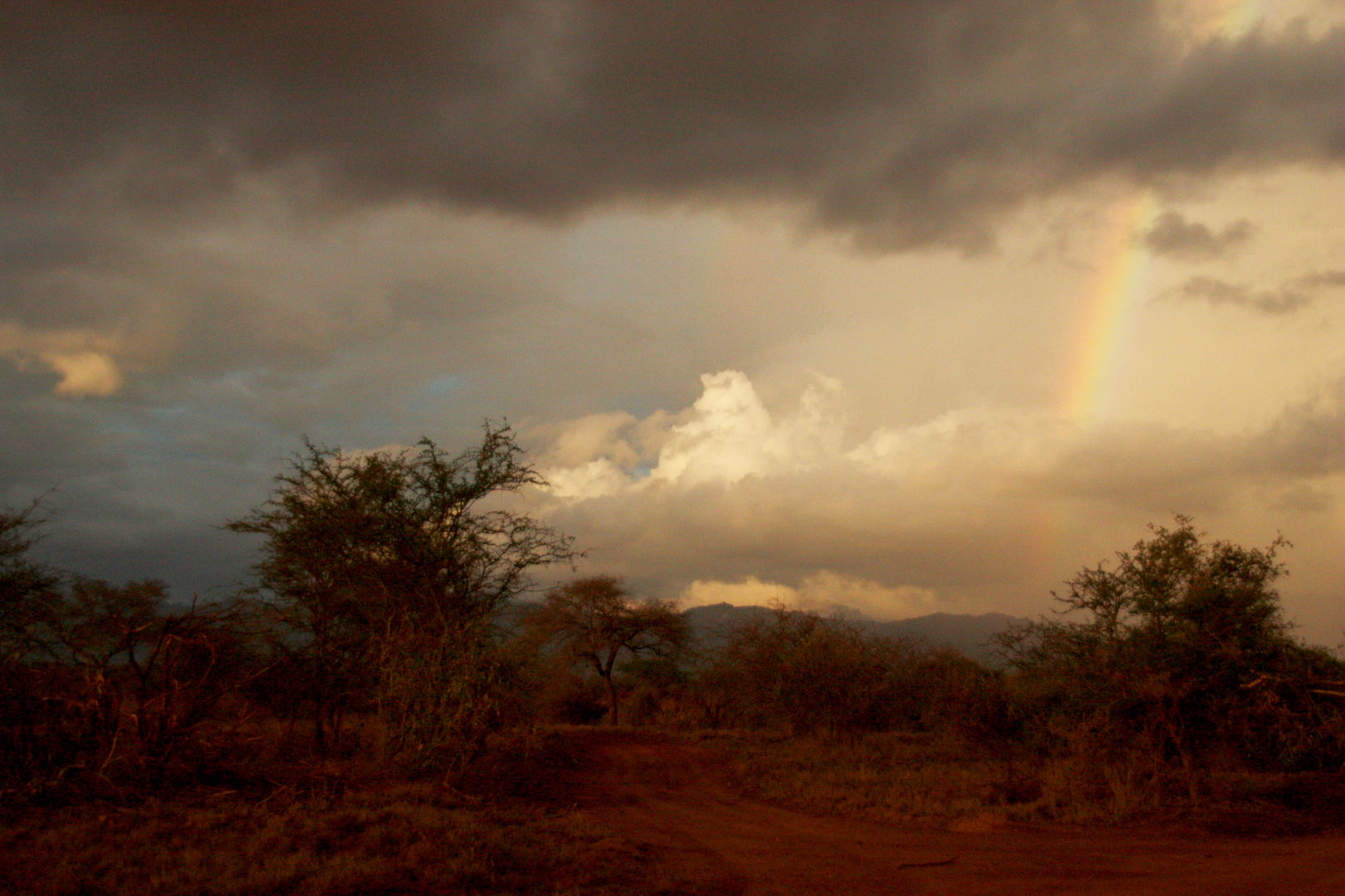 L'ARCOBALENO NELLA SAVANA