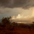 L'ARCOBALENO NELLA SAVANA