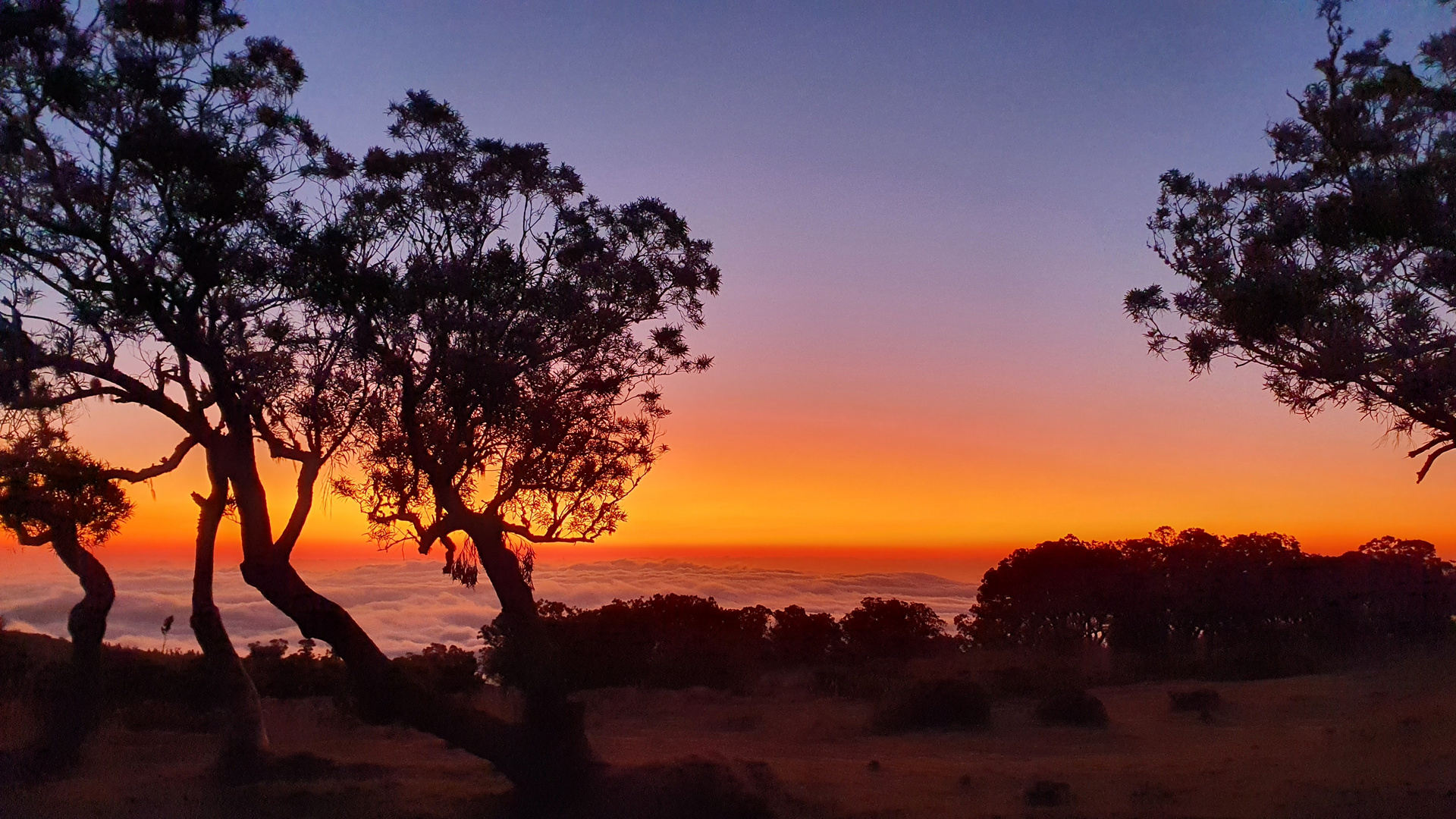 LaReunion