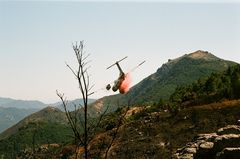 Largage de retardant pour nous permettre une progression dans le maquis.