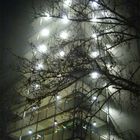 large building in the fog