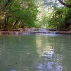 L'Argens à Bras (Var)