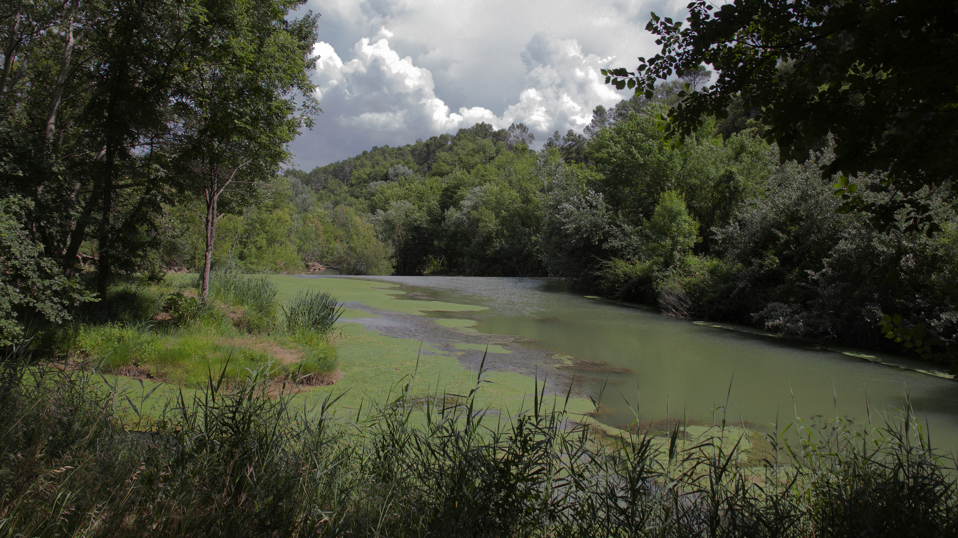 L'argens au Vallon Sourn