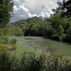 L'argens au Vallon Sourn