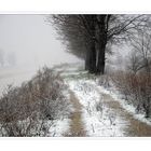 l'argine innevato