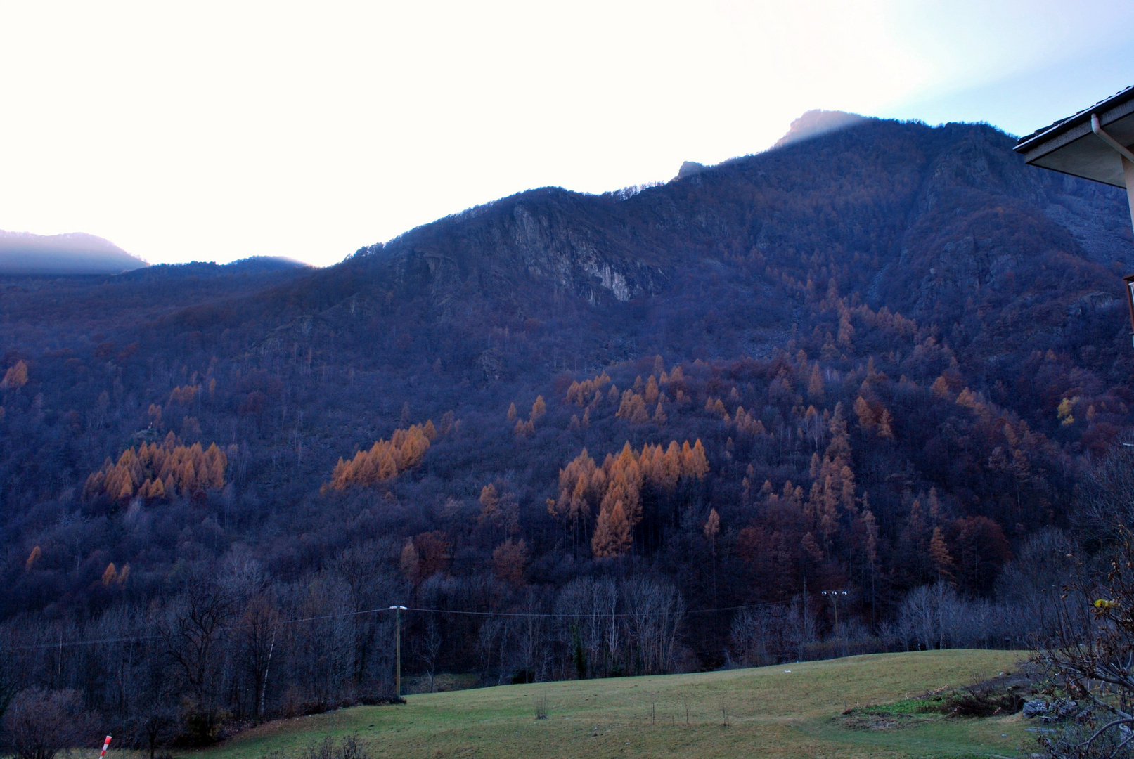 LARICI IN FIAMME