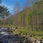 L’Ariège près d' Ax-les-Thermes