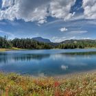 Larix Lake Sunshine Village Banff