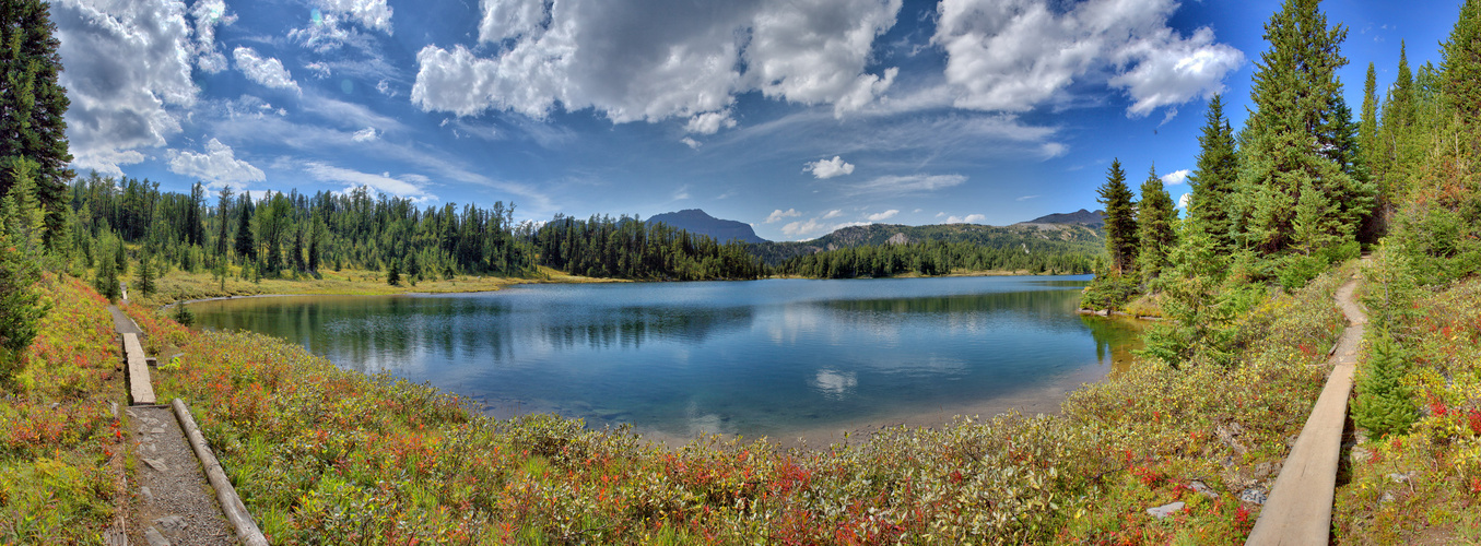 Larix Lake Sunshine Village Banff